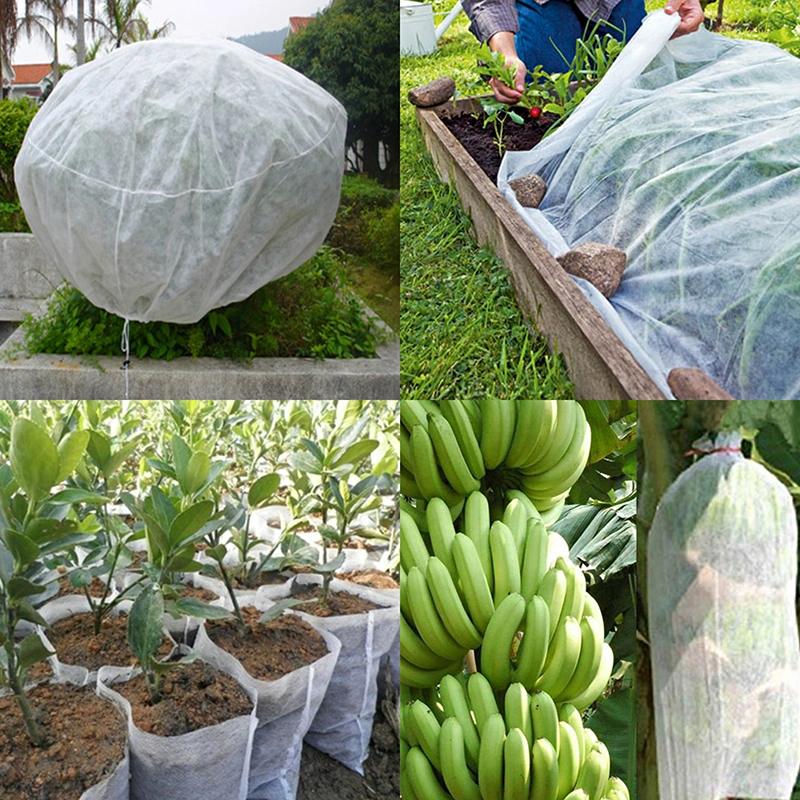 Customized Hight Quality Agricultural Spunbond Non Woven Fabric for Plants/Weeding Cloth